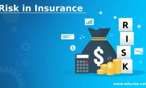 What is the risk in insurance law?