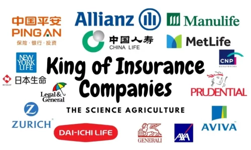 Who is the richest insurance company?