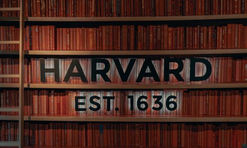 How do you get a 100 percent scholarship to Harvard?