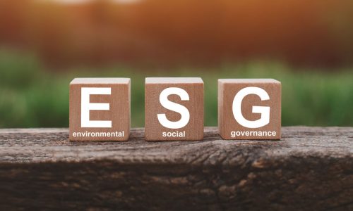 Environmental, Social, and Governance (ESG) in Insurance Investments