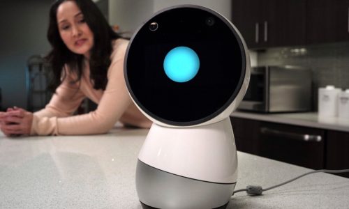 The Rise of Personal Robots: Household Assistants and Companions for the Elderly